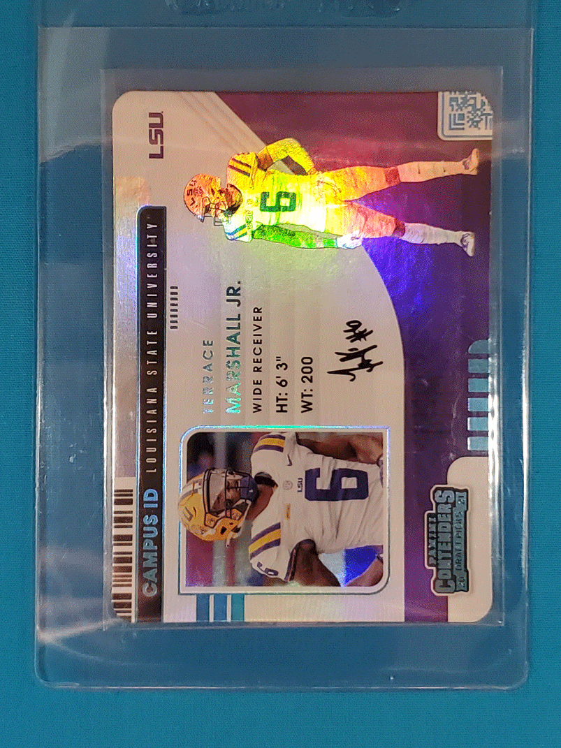 Terrace Marshall Jr.