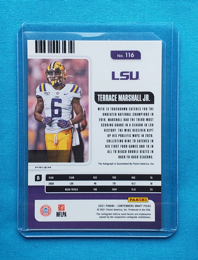 Terrace Marshall Jr.