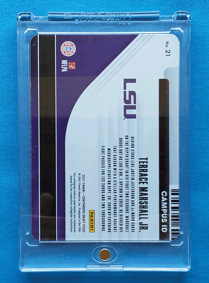 Terrace Marshall Jr.