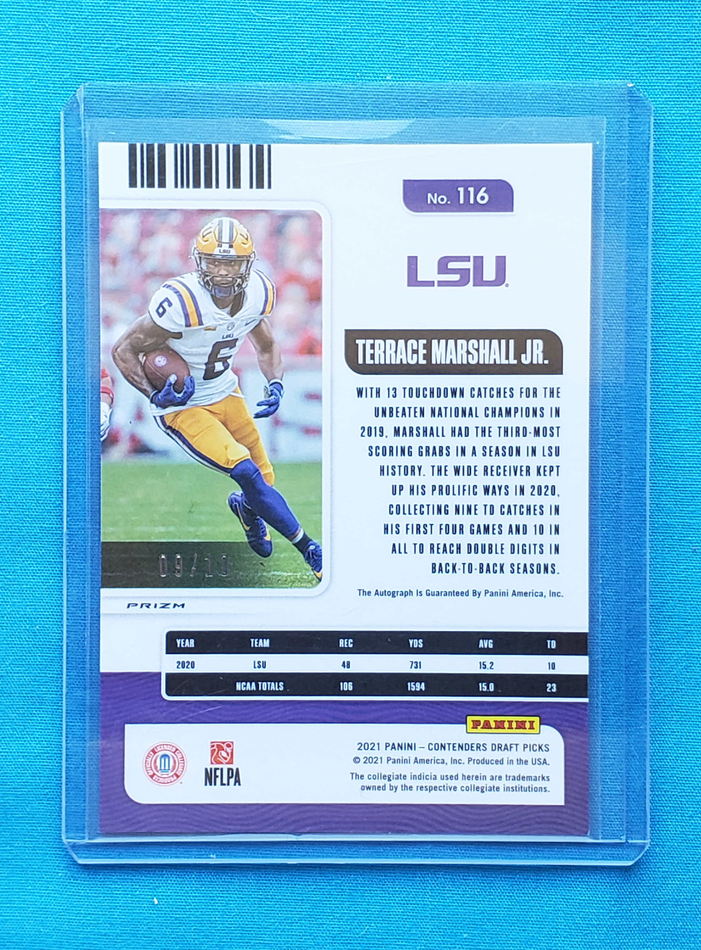 Terrace Marshall Jr.