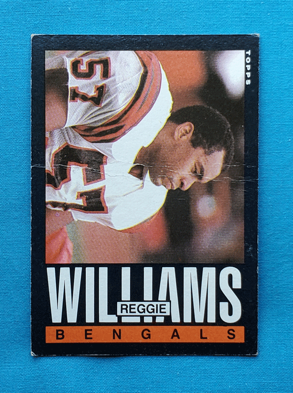 Reggie Williams