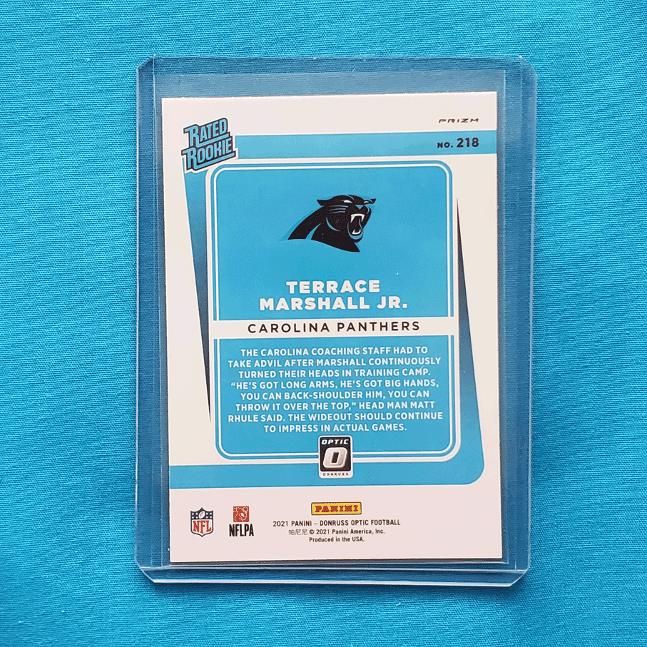 Terrace Marshall Jr.