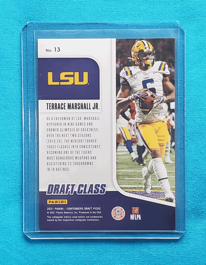 Terrace Marshall Jr.